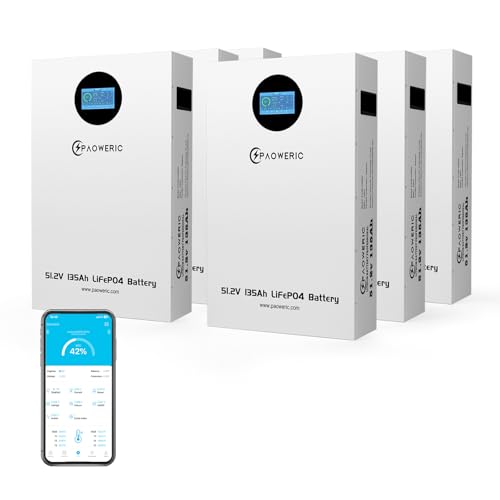 48V 135Ah(6 PACK) Wall-Mounted LiFePO4 Battery with 100A BMS, Max. 5120W Power,10000+ Cycles, Suit for Solar,Back UP Power,Off-Grid