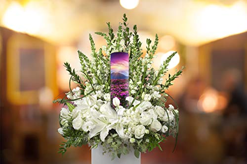 Image of Heaven on Earth Eco Friendly Scattering Urn for Adult Ashes - Biodegradable Urn for Human Ashes