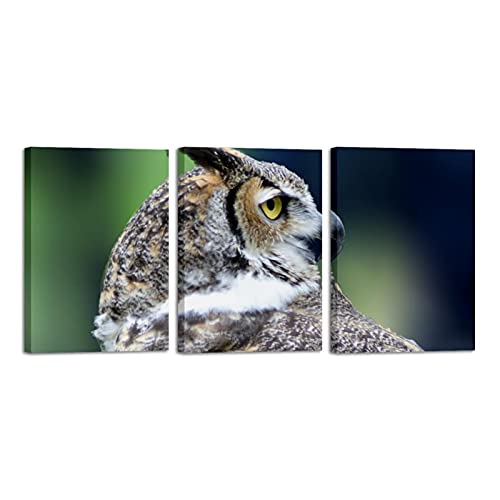 Peinture encadrée oiseau et hibou prête à accrocher pour décorer le salon