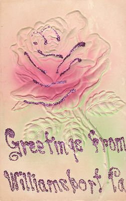 F8997 Pa, Williamsport Floral Postcard #TOP8