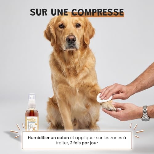 Museau & Co Vinaigre des 4 Voleurs pour Chien et Chat – 250ml – Parasites, Brillance du Poil, Anti Démangeaison Naturel, Remède de Grand-mère Fabriqué en France – vue 5