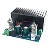 Reland Sun HiFi Vacuum Tube Amplifier Electronic Valve Amplifier 6J1 + LM1875 Amplifier AC18V DIY Kit and Finished Product Finished Product