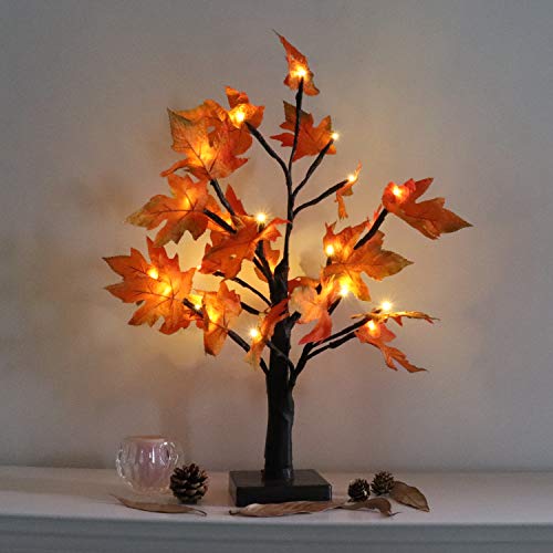 LOFTPLUS LED Maple Tree Bonsai Tree Dual-Power Design Battery Operated or AC Adapter Powered 24 Warm White LED 18in Tall LOFTPLUS LED Maple Tree Bonsai Tree Dual-Power Design Battery Operated or AC Adapter Powered 24 Warm White LED 18in Tall