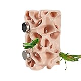 Cave pour reptile – Cachette magnétique pour amphibiens | Abri sûr pour escalade de terrarrium, grenouilles, geckos,...