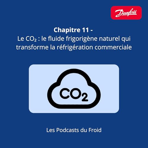 Le CO₂ : le fluide frigorig&egrave;ne naturel qui transforme la r&eacute;frig&eacute;ration commerciale