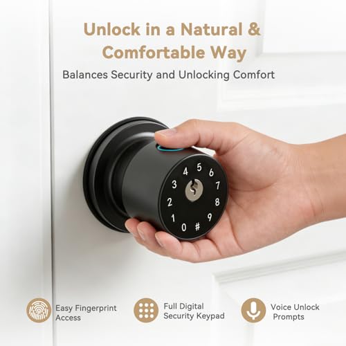 Serrure biométrique et bouton de porte intelligent IRONZON pour une sécurité haute performance