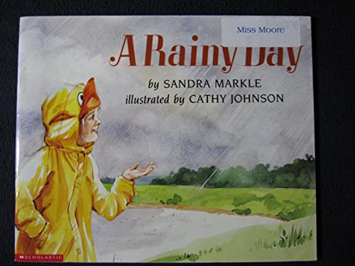 A Rainy Day 0439397332 Book Cover