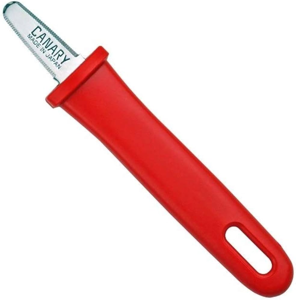 41v2upQTc-L._AC_UF1000,