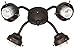 Craftmade F400-OB-NRG 4 Light Universal Fitter