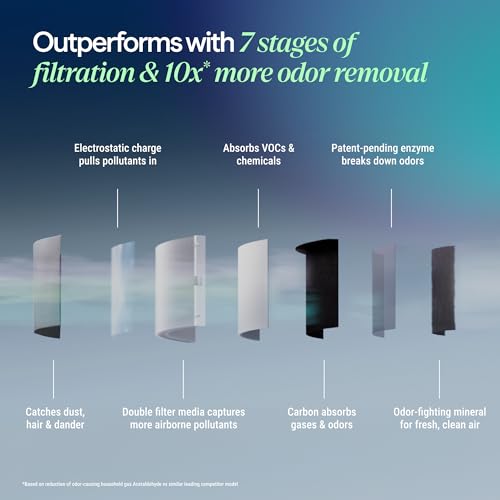 True HEPA Air Purifier for Allergies