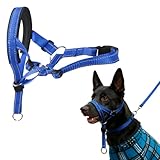 Robustes Anti-Zug-Hundeleine Set – Blaues Hundehalsband für Große Hunde, Langlebiges...