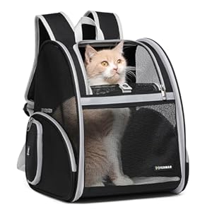 Cat Backpack Carrier for Small Dogs and Medium cat Puppy Kitten Bunny Pet Carrier Backpack Collapsible with Fully Ventilated Mesh with Safety Leash (Black, 12.9" L x 10.62" W x 15.5" H - M)