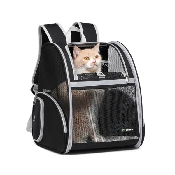 Cat Backpack Carrier for Small Dogs and Medium cat Puppy Kitten Bunny Pet Carrier Backpack Collapsible with Fully Ventilated Mesh with Safety Leash (Black, 12.9" L x 10.62" W x 15.5" H - M)