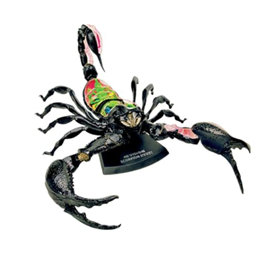 Modèle anatomique Scorpion 4D AMITD avec 29 pièces éducatives détachables - 3