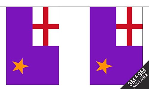 Flagtex Purple Standard Fabric Bunting – 3m with 10 Flags – Fabric for Indoor & Outdoor Use – String Flags Banners Irish Historical Ancient
