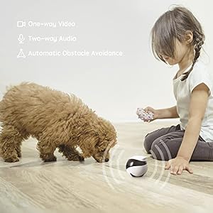 Enabot EBO SE Home Robot Camera: 1080P Mobile FamilyBot Pet Companion — photo 3 of 6