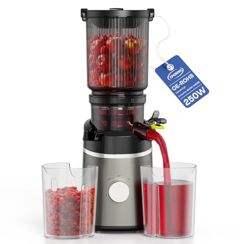 TPGSING extractor de zumos y verduras, 250 Watt licuadora prensado en frio, Motor DC Silencioso, Prensado en Frío 130mm de Diámetro, Fácil de Limpiar slow juicer machine Lento con 2 Vasos
