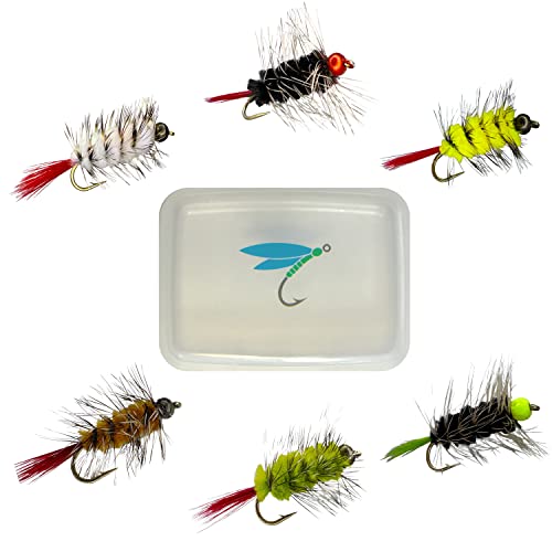 Thor Outdoor Bh Woolly Worm 6 Pc Set With Bin - Wet Fly Fishing Flies For Trout And Panfish - Hook Size #12 #TOP15