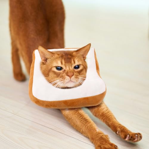 Collar de cono para gatos talla L ajustable y ligero 8