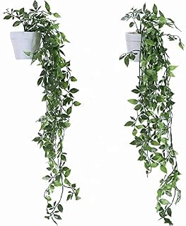 "N/A" Hanging Artificial Plants Set of 2 Trailing Fake White Potted for Room Decor Home Kitchen Garden Office Shelf Wall Décor Pot Decoration Indoor and Outdoor, 22.3*11*18cm, (ADC449)