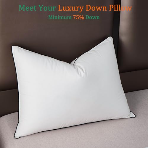 HYVIF Luxury Hotel Style Bed Down Pillow Queen Size - 650+Fill Power Soft and Cozy - 100% Cotton Shell 500 Thread Count White Pillows for Side, Stomach Sleepers -Pack of 1 (20 x 28”)