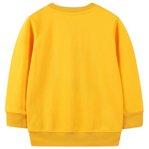 Image of AIWUHE Toddler Cotton Sweatshirt Boys Girls Pullover Long Sleeve Tops 2-6Y | Tops Blouse, Cotton T-Shirt, Fall Winter Clothes