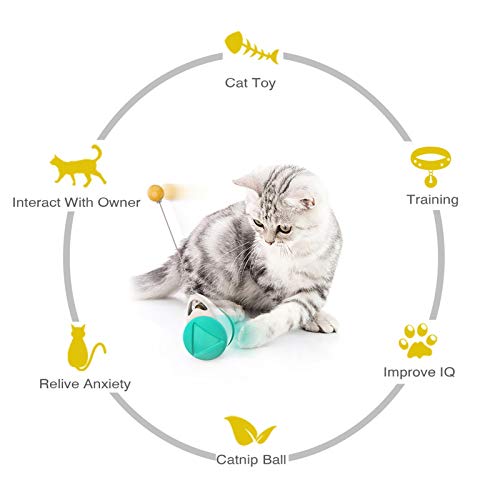 Brinquedo gato,Cat Interactive Toy Cat Ball Toys Tumbler Toys Bola de treinamento de QI embutida Cat