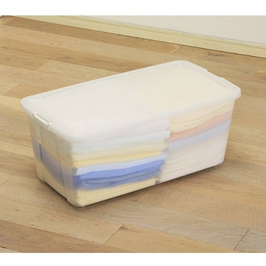 Amazon｜アイリスオーヤマ プラスチック衣装ケース（フタ