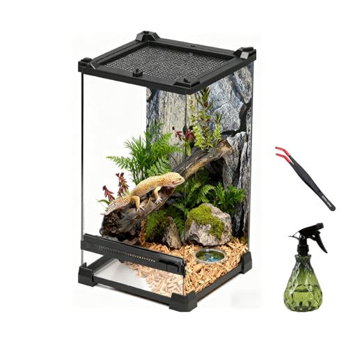 AQUA DAREN Reptile Tall Glass Terrarium Rainforest Habitat Single Door with Screen Ventilation Small Reptile Terrarium for Spiders Tarantulas Snail Mantis Lizard (8 * 8 * 12 inch)
