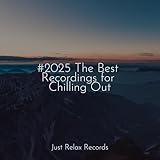 Just Relax Records