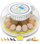Sailnovo Automatic Egg Incubator with Turning, Humidity Display & Candler (Blue)