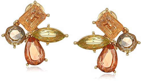 Preisvergleich Produktbild Anne Klein Women's Gold-Tone Multi Stone Cluster Stud Earrings, 0