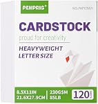 120 Feuilles White Cardstock - 8.5” x 11” Carte de couverture de taille de lettre Stock 85lb Papier épais épais pour la scrapbooking, l'artisanat, les cartes d'affaires, les invitations PAP03WH