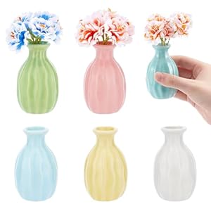 6 Stück Blumenvase Aus Keramik, Rustikale Deko Vase Im Boho Stil Moderne Bauernhaus Dekoration Mehrfarbig Schlicht Kleine Vasen Für Blumen Kleine Pflanzen Florales Esszimmer Regal Dekor
