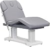 Electric Medical Spa Treatment Massage Table Facial Beauty Bed TRANQUILITY