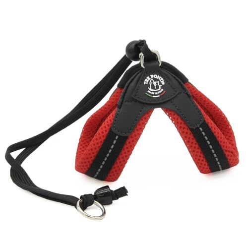 Tre Ponti g|eB x^ n[lX \tgbV ^ ^ (3/̏d6`7kg/38`48cm) (3/̏d6`7kg/38`48cm, bh)