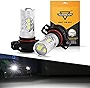 Auxbeam 5201 5202 LED Fog Light Bulbs Extremely Bright H16 LED Bulb High Power 50W 12V LED 9009 5202 Bulb for Signal, Turn, Brake, Parking, Tail, DRL Fog Lights, Bright White (Set of 2)