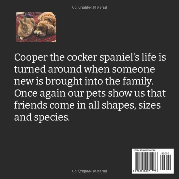 Miniatura 2 de Cooper's New Challenge (Cooper's Challenge)