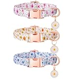 Smivyhp 3 Stück Hundehalsband mit Blumen-Muster, Hunde Halsbänder mit Metall-Sicherheitsverschluss, Verstellbares Welpenhalsband mit Gänseblümchen-Anhänger für kleine und mittlere Hunde