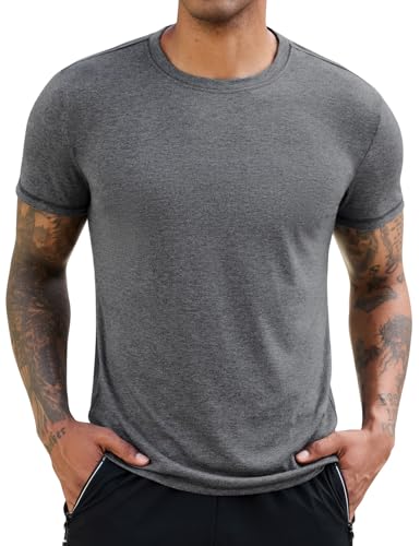 Lonya Men's t-Shirts Crew Neck Short Sleeve Soft Tops Fashion Tshirt Casual Breathable Sports Business Classic Fit Tee Shirt Grey,L