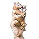 Yolococa Handi Squirrel Eichhörnchen Fingerpuppe Realistisch Tier Neuheit Spielzeug für Kinder Erwachsene