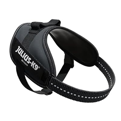 Julius-K9, 16IDC-ANT-M, IDC Powerharness, Dog Harness, Size: Mini, Anthracite