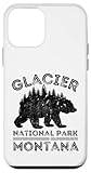 Fácil instalación Parque Nacional Glacier Carcasa para iPhone 12 Mini