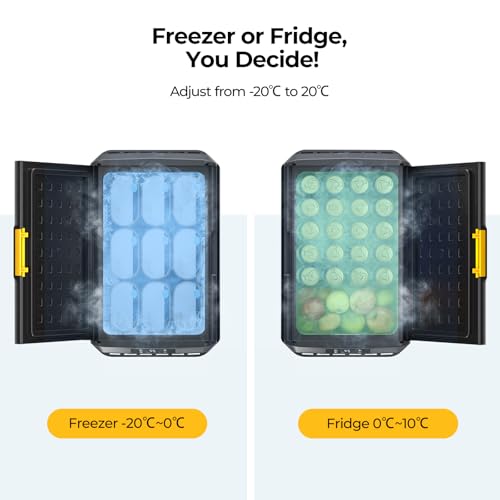 BougeRV CRS 50L Kühlbox 12V/24V 230V mit APP Steuerung und Tragbarer Innenkorb für Camping und Reisen -20℃~20℃