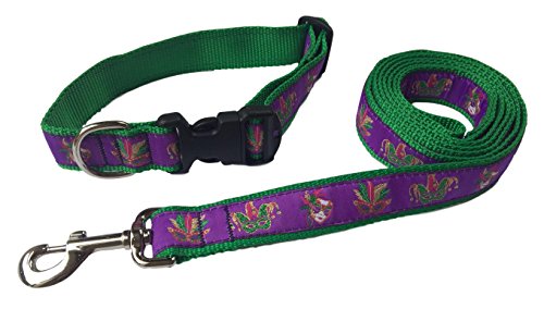 Preston Mardi Gras Dog Collar and Leash Set in Purple Ribbon on Green Nylon Webbing (Large)