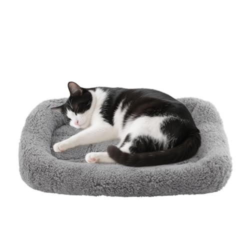 PETLESO ^Lxbh}bgA55.9 cm x 40.6 cm vbV NbV ͖t ^ }C_  L   ybgxbh Ƌ LA N[g ~߃pbhA\AM