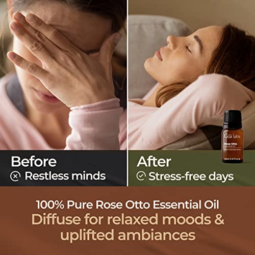 Olio essenziale di Rosa Mosqueta: tutte le proprietà cosmetiche