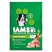 Iams ProActive Health Adult MiniChunks Premium Dog Nutrition, 50-Pound