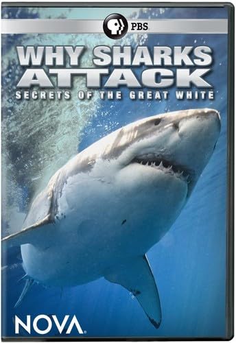 NOVA: Why Sharks Attack [DVD]