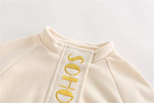 Little Toddler Kids Girls Spring Cotton Fall Long Sleeve Casual Blouse Tops3